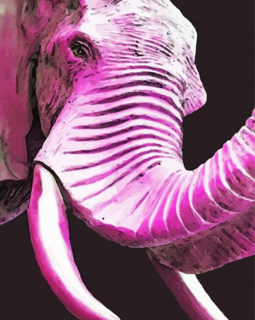 Pink Elephant Head Paint By Numbers