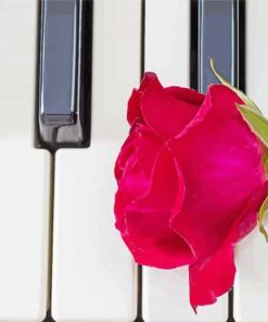 Pink Rose Flower On Piano Paint By Numbers