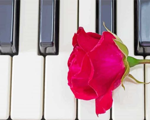 Pink Rose Flower On Piano Paint By Numbers