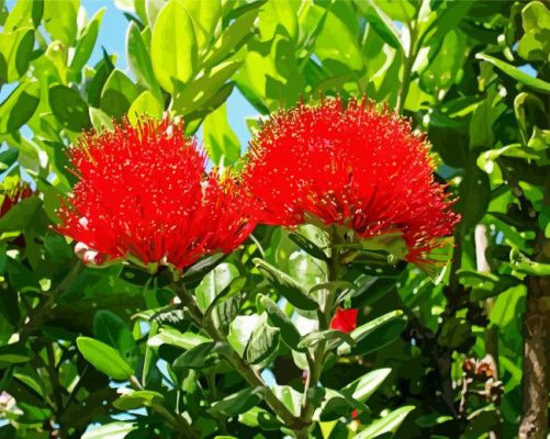 Pohutukawa Tree Flower Paint By Numbers