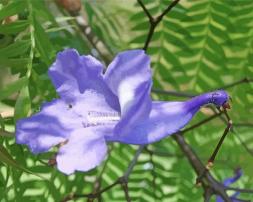Purple Jacaranda Flower Paint By Numbers