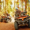 Quad Bike In The Forest Paint By Numbers