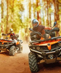 Quad Bike In The Forest Paint By Numbers