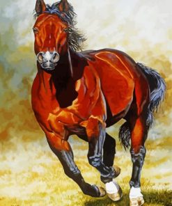 Quarter Horse Animal Art Paint By Numbers