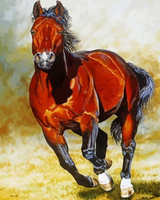 Quarter Horse Animal Art Paint By Numbers
