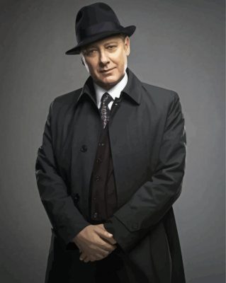 Raymond Reddington Paint By Numbers