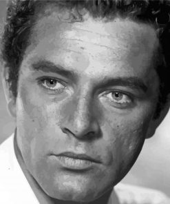 Richard Burton Paint By Numbers
