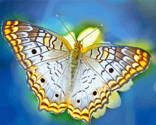 Schmetterling Butterfly Paint By Numbers