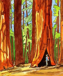 Sequoia Park Art Paint By Numbers
