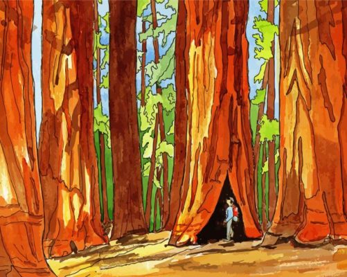 Sequoia Park Art Paint By Numbers