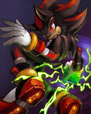 Shadow The Hedgehog Red Eyes Paint By Numbers