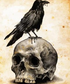 Skull Raven Paint By Numbers