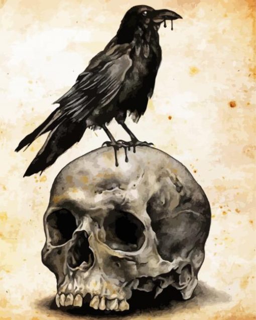 Skull Raven Paint By Numbers
