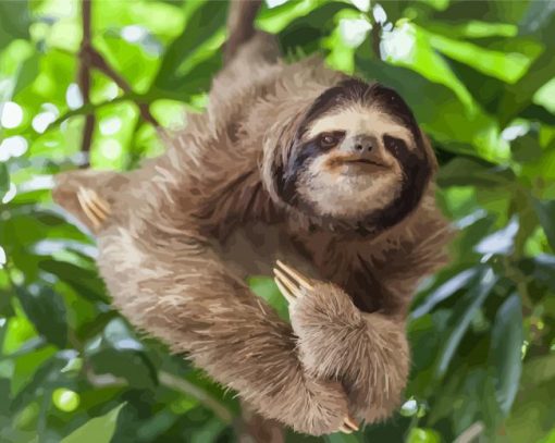 Sloth In A Tree Paint By Numbers