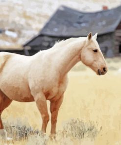 Tan Horse Paint By Numbers