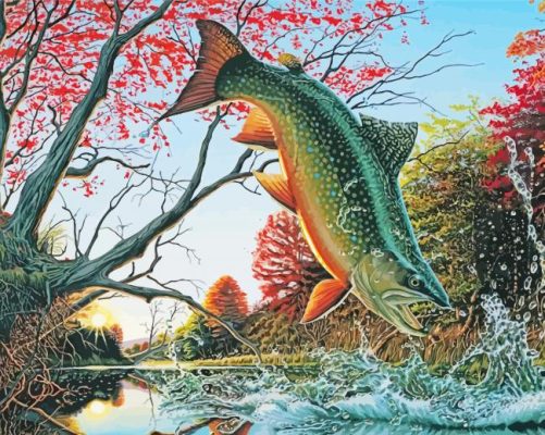 The Brook Trout Paint By Numbers