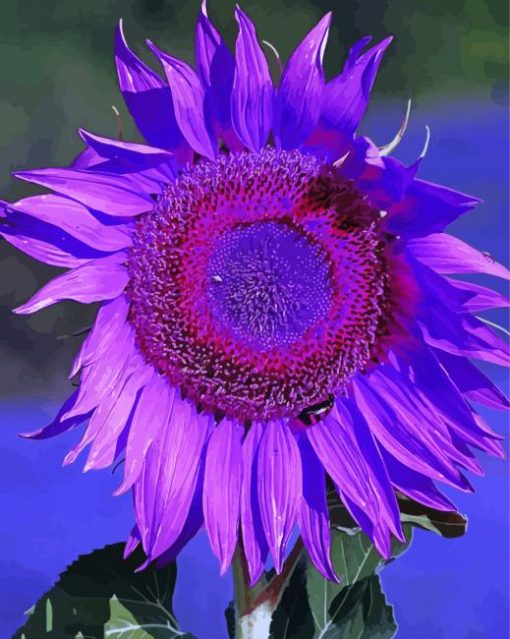 The Purple Sunflower Paint By Numbers
