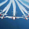 The Snowbirds Paint By Numbers