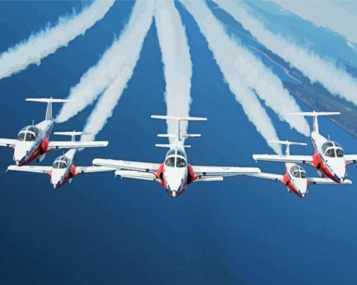 The Snowbirds Paint By Numbers