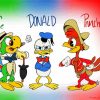 The Three Caballeros Art Paint By Numbers