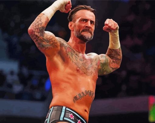 Wwe Fighter Cm Punk Paint By Numbers