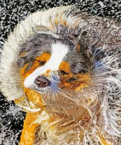 Wet Dog Shaking Paint By Numbers