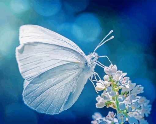 White Butterfly Insect Paint By Numbers