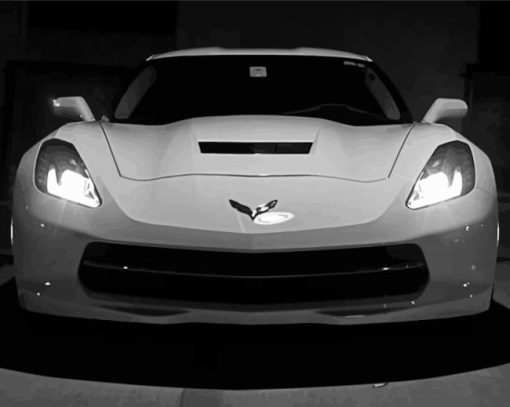 White Chevrolet Stingray Car Paint By Numbers