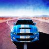 White And Blue Mustang Car Paint By Numbers