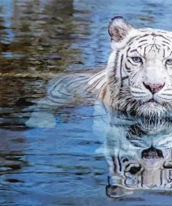 White Tiger Reflection Paint By Numbers
