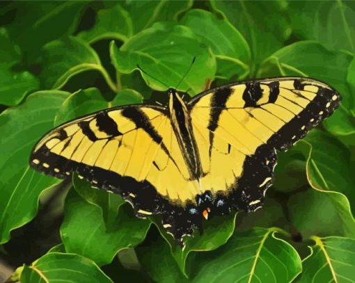 Yellow Monarch Butterfly Paint By Numbers