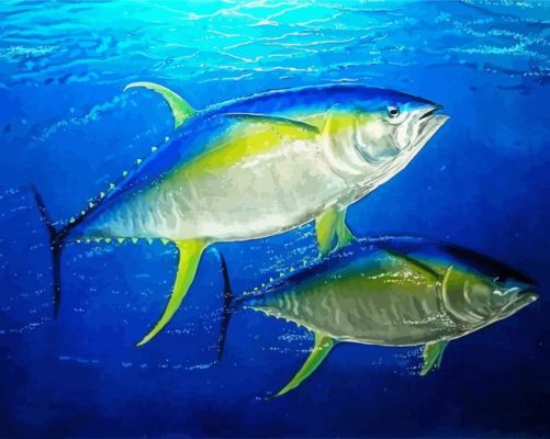 Yellowfin Tuna Art Paint By Numbers