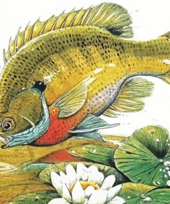 Aesthetic Bluegill Fish Paint By Numbers