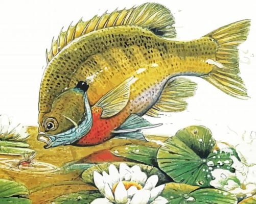 Aesthetic Bluegill Fish Paint By Numbers