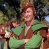 Aesthetic Errol Flynn Robin Hood Paint By Numbers
