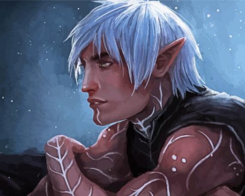 Aesthetic Fenris Paint By Numbers