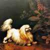 Aesthetic Maltese Dog Paint By Numbers