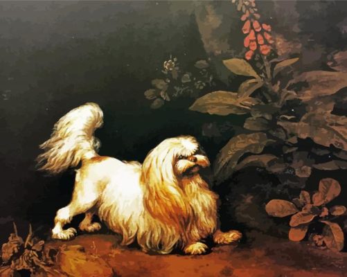 Aesthetic Maltese Dog Paint By Numbers