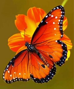 Aesthetic Orange Flowers With Butterfly Art Paint By Numbers