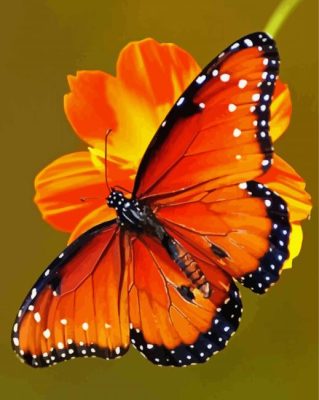 Aesthetic Orange Flowers With Butterfly Art Paint By Numbers