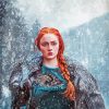 Aesthetic Queen Sansa Art Paint By Numbers