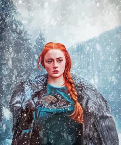 Aesthetic Queen Sansa Art Paint By Numbers