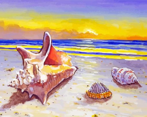 Aesthetic Seashells On Beach Art Paint By Numbers