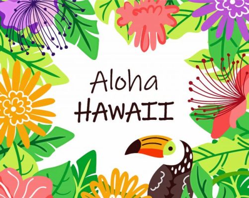 Aloha Hawaii Paint By Numbers