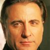 Andy Garcia Paint By Numbers