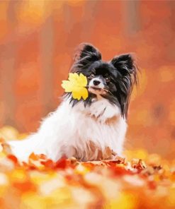 Autumn Papillon Dog Paint By Numbers