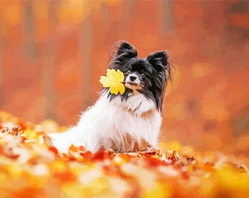 Autumn Papillon Dog Paint By Numbers