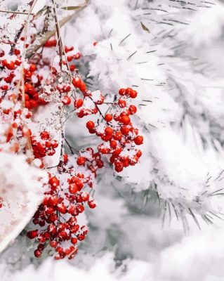 Berries In Winter Paint By Numbers