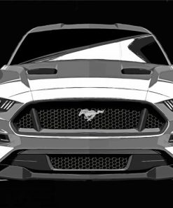 Black And White Ford Mustang Paint By Numbers