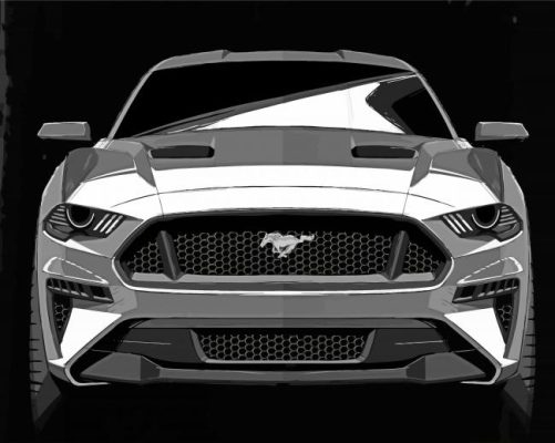 Black And White Ford Mustang Paint By Numbers